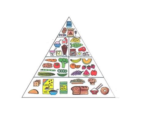 The Food Pyramid Quiz