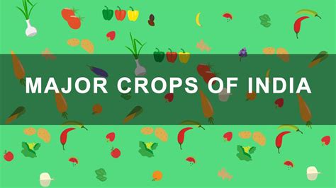 5 Major Crops In India