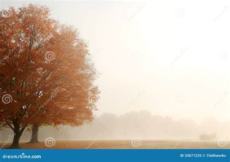 Foggy Autumn Landscape Stock Image Image Of Maple Horizontal