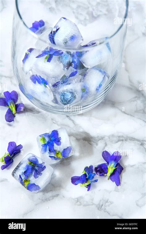 Ice Cubes With Edible Flowers Stock Photo Alamy