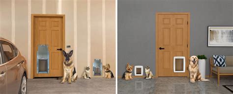Doors With Doggie Door Builders Villa
