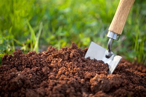 Great Garden Soil Hacks To Give Your Beds A Boost Sunset Magazine