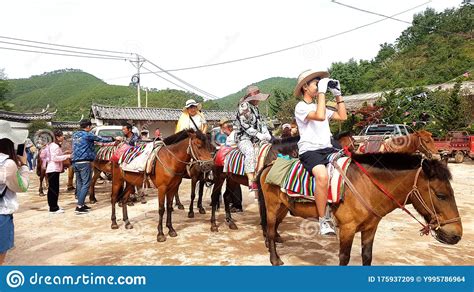 Chinese Horse Riding Activities Horse Riding Editorial Stock Image