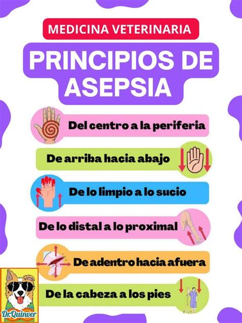 Principios De Asepsia Dr Quinver UDocz