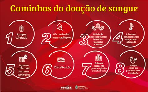 Caminhos Do Sangue Da Doação à Transfusão Governo Do Estado Do Ceará