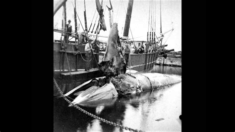 3d Photographs Of Whaling Ships In Massachusetts