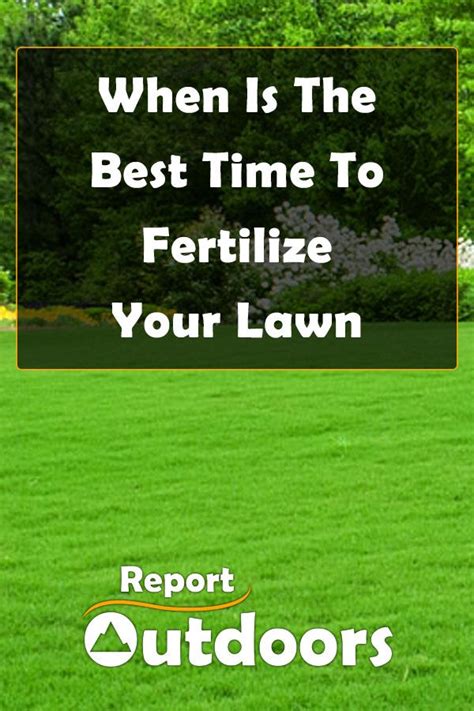 When Is The Best Time To Fertilize Your Lawn Lawn Fertilizer Spring
