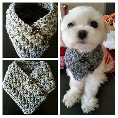 Crocheted Small Dog Puppy Scarf Fits Most S Or M By Quiltncrochet Dog
