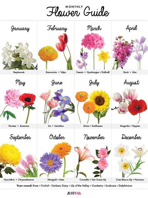 Monthly Flower Guide A Must Have Graph To Learn Whats In Season
