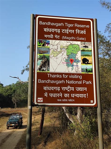 Bandhavgarh National Park Best Zones Gates In Bandhavgarh