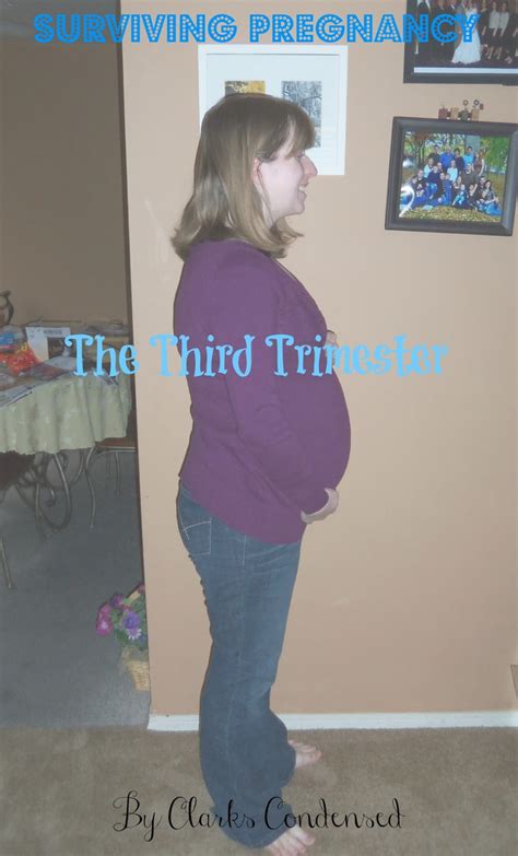 Surviving Pregnancy The Third Trimester