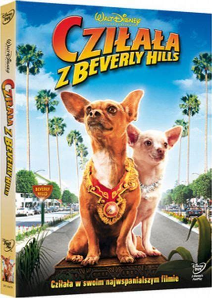 Chihuahua Z Beverly Hills Cda - Chihuahua Z Beverly Hills Film - Pets Lovers