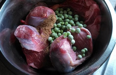 Raw Dog Food Recipe Steak And Turkey