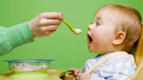 O Bebê Vai Começar A Se Alimentar E Agora Na Pracinha