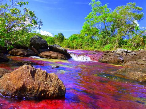 El Río Más Hermoso Del Mundo Se Encuentra En Sudamérica Al Diario