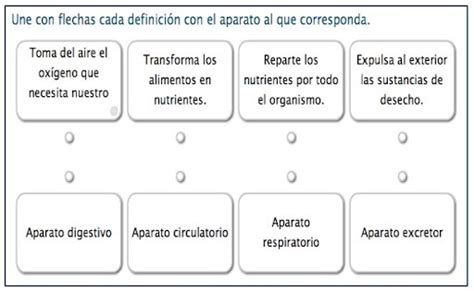 Profesora Amparo Arias 4c 5d Guia Periodo Ii Ciencias Naturales Grado 4c