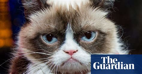 Grumpy Cat Dies Aged Seven ‘some Days Are Grumpier Than Others