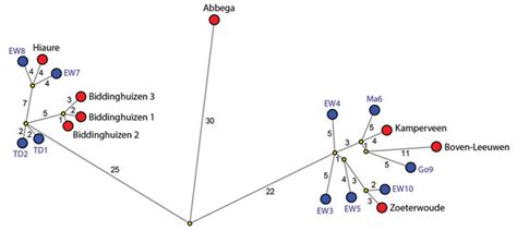 Russia confirms first case of human infection with h5n8 strain of virusabp news bureau. Figure 2 - Multiple Reassorted Viruses as Cause of Highly ...