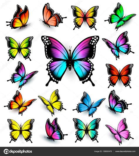 Colorful Butterflies Set Vector Stock Vector By ©almoond 156693476