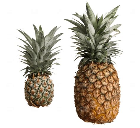 Pineapple Fruit Png Free Download Photo 302 Free Png