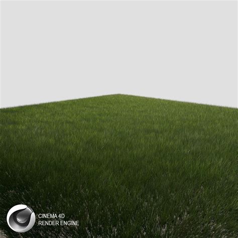 3d Dynamic Grass 3 Cgtrader