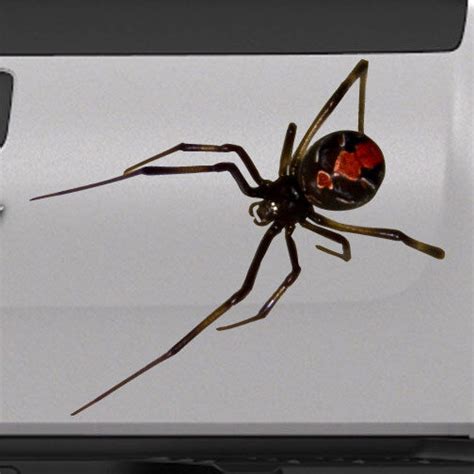 3d Spider Black Widow Realistic Tailgate Hood Window Decal Vehicle