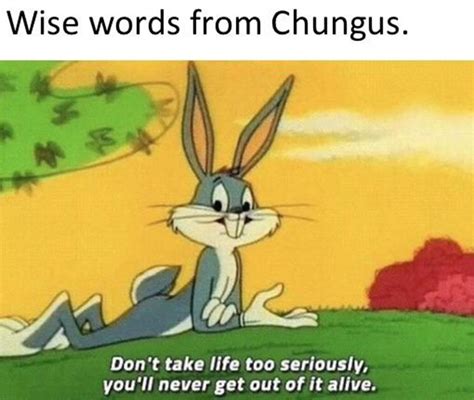 50 Funniest Bugs Bunny Memes To Keep You Asking What S Up Doc