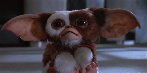 10 Things You Probably Didnt Know About Gremlins Huffpost
