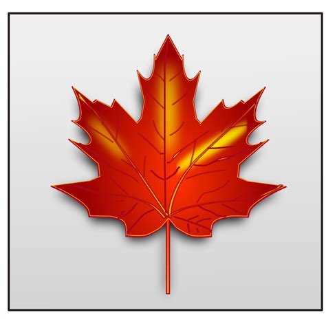 Canadian Red Maple Leaf Line Cartoon Drawing Vector Image Sango
