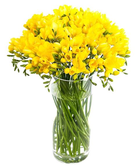Freesia Bouquets Flowers By Flourish