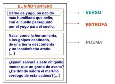Género LÍrico Elementos Más Importantes ¡resumen Con Ejemplos