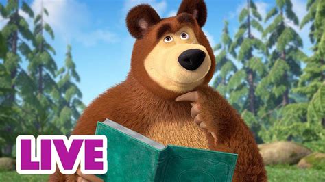 🔴 Live Stream 🎬 Masha And The Bear 📖 The Chronicles Of The Forest 🏞️🌳 Youtube