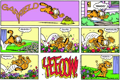 Garfield Daily Comic Strip On April 24th 1994 Garfield Comics