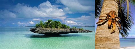 Adalbra Atoll Seychelles Seychelles Atoll Unesco World Heritage Site