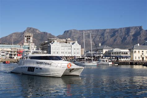 Boat Cruises Cape Town Cape Town Boat Cruises From The Waterfront