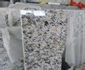 Tiger Skin White Granite Tiles Elite Stone China Manufacturer