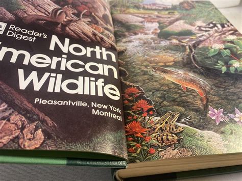 Readers Digest North American Wildlife 1982 Illustrated Animals