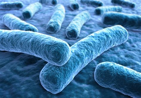Informationen zu ursachen, symptomen, diagnose und therapie, alphabetisch und nach themen sortiert Gefährliche Bakterien: Forscher entdecken neuen Faktor bei ...