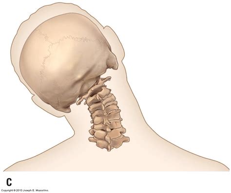 Axial And Nonaxial Ranges Of Motion Of The Cervical Spine