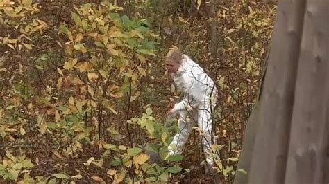 police comb through west roxbury woods searching for missing person