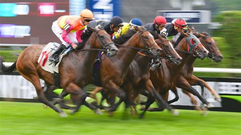 Rating rank history shows how popular ihorse racing: 6 Horse Race Betting Tips to Try this Year