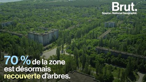 Video Après La Catastrophe De Tchernobyl Quen Est Il De L