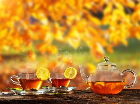 Autumn Still Life With Tea Cups On Wooden Planks Stock Image Image Of