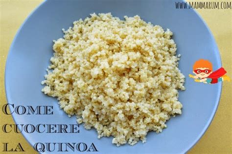We did not find results for: Mammarum: Come cuocere la quinoa