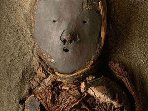Explore petroglyphs, pottery, textiles, mummies, and even olives at museo momias chinchorro. En la U. de Tarapacá rechazaron la decisión del Gobierno ...