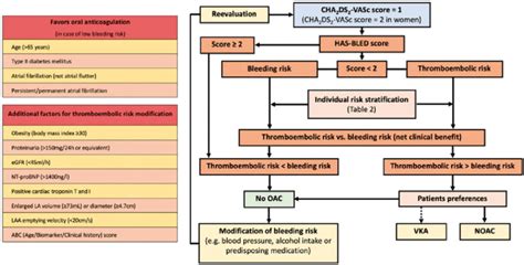Decision Making Algorithm For Personalized Antithrombotic Management In