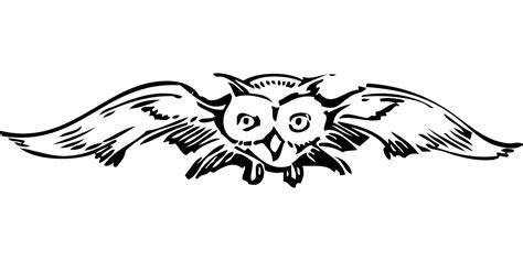 Spread Owl Front Free Vector Graphic On Pixabay