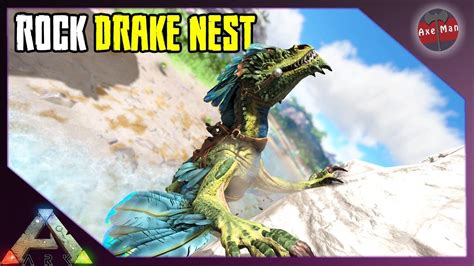 Where to find and steal rock drake eggs? FINDING THE ROCK DRAKE NEST...CAN WE GET SOME EGGS ...