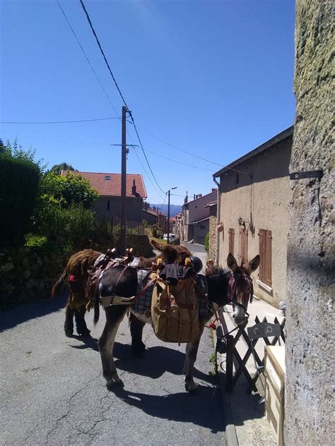 On accuse les gens de magie, quand ils font quelque chose qui est contre le cours de la nature. Sur les pas de Robert Louis Stevenson. La Plume ...