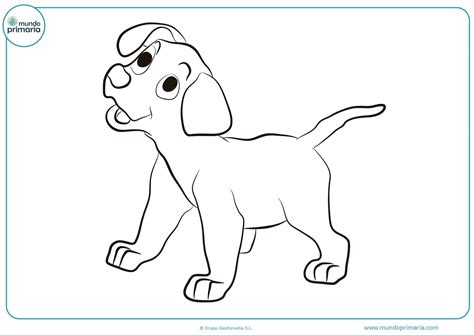 Dibujo De Un Perro Dibujos De Perros Para Colorear